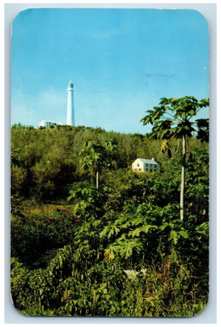 Bermuda Postcard Greenery Scene Near Gibbs Hill Light 1954 Vintage Posted