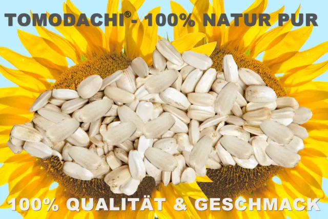 Kaninchenfutter, NagerSnack, Sonnenblumenkerne weiß, Nagerfutter 10 kg 2