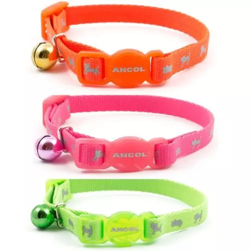 Ancol Hi Viz Cat High Visibility Safety Buckle Collar+Bell Green/Pink/Orange