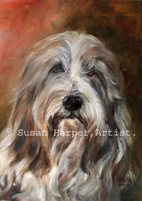 Bearded Collie Signed Dog Print by Susan Harper Unmounted