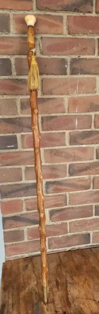Vintage Knob Top Thorn Walking Stick/Cane