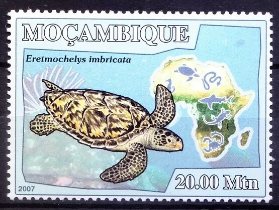 Mozambique 2007 MNH, Turtle, Reptiles, Amphibians