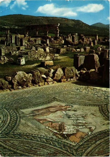 CPM AK MAROC - VOLUBILIS-La Maison au Cavalier (328982)