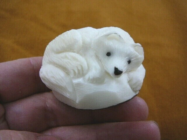 (tne-fox-302a) white Arctic Fox TAGUA NUT Figurine Vegetable foxes wolf