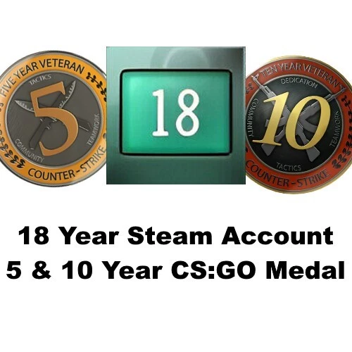 CS:GO 5 Years Veteran Coin / Medal – CS:GO Veteranenmünze CS:GO 5 Years Veteran Coin / Medal – CS:GO Veteranenmünze