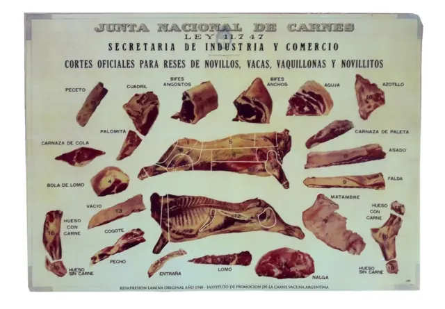 Rare Argentine Vtg Poster Sheet Famous Beef Cuts Ad Butcher Shop Decor BBQ Area