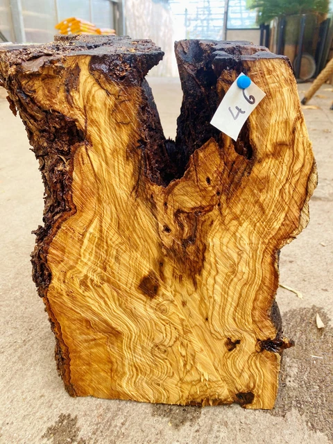 Olivenholz, Olive, Holz zum Basteln, Schnitzen, Drechseln, 9,4 kg Deko-Objekt