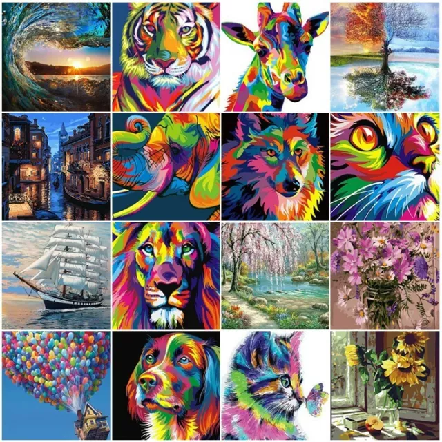 DIY Oil Painting Kit By Numbers Adult Paint for Adult Child Frameless Kids Gift