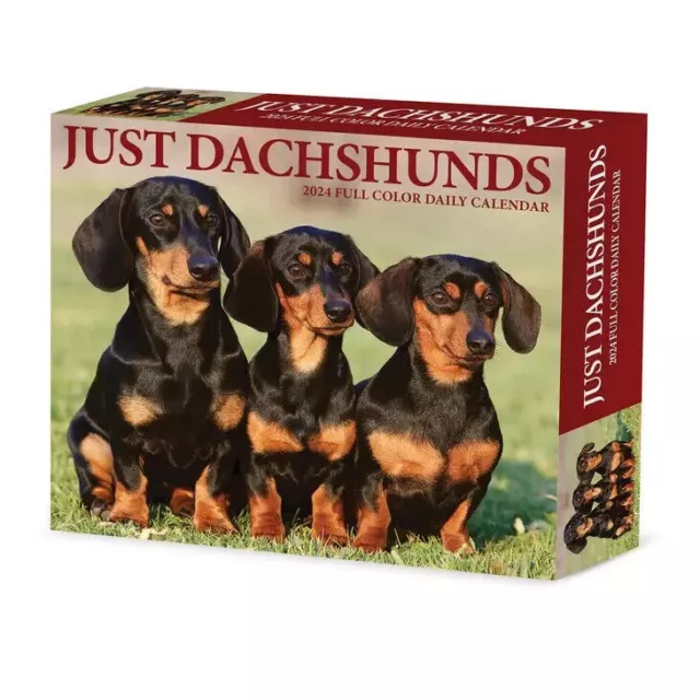 Willow Creek Dachshunds 2024 6.2" x 5.4" Box Calendar w