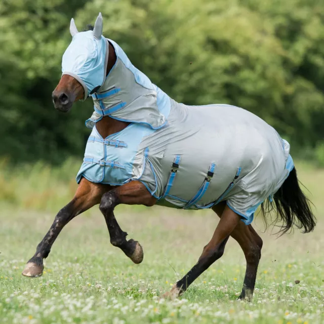 Gallop All in One - Fly Combo Horse Rug