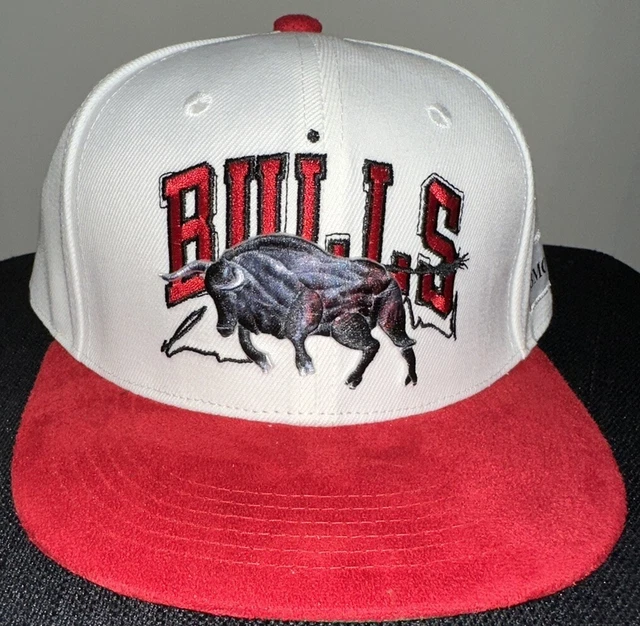 CHICAGO BULLS BMO Snapback Hat Artist Series Chuck Styles SGA Melonwear