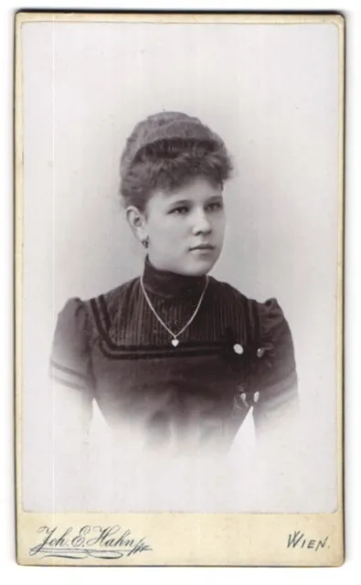 Fotografie Joh. E. Hahn, Wien, Mariahilferstrasse 105, Junge Frau mit Halskette