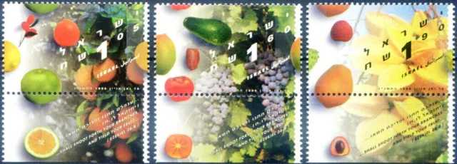 1996 Fruit.