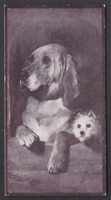 Lloyd - Academy Gems (Mauve) - Dignity & Impudence, Sir Edwin Landseer