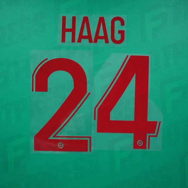 FLOCAGE OFFICIEL MANCHESTER City 2023/2024 Haaland Third EUR 20,00 - FR