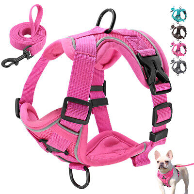 No Pull Dog Harness and Lead Set Reflective Mesh Walking Vest for Cats Puppy