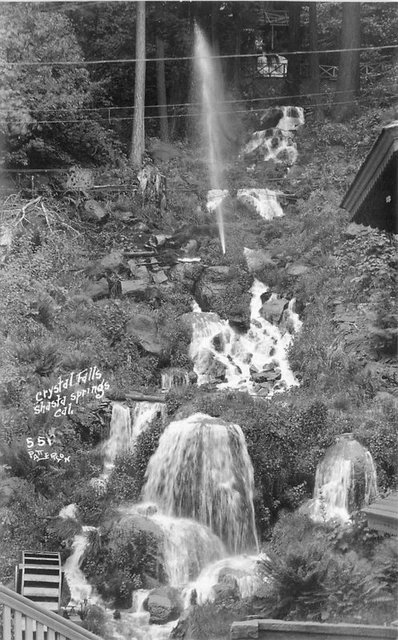 Shasta Springs California Crystal Falls Patterson RPPC Photo Postcard 21-5353