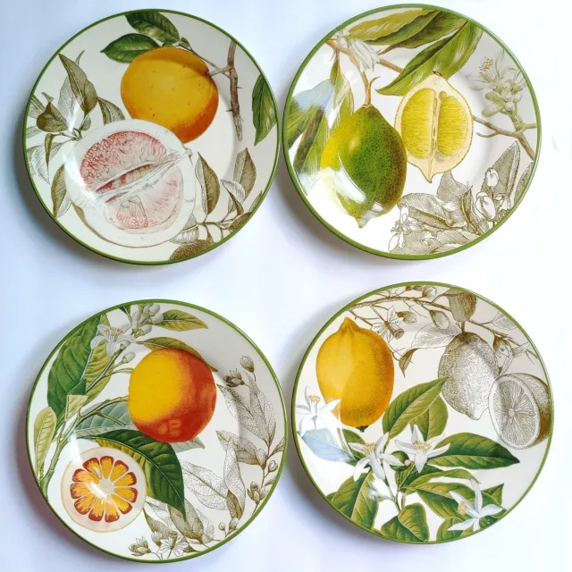 Williams Sonoma Botanical Citrus Salad Plates Set Of 4