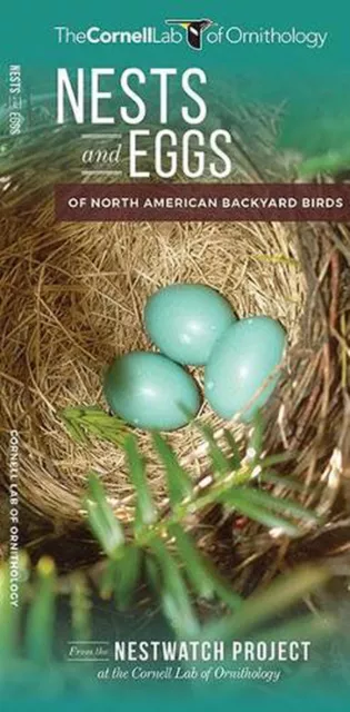 Nests and Eggs of North American Backyard Birds by The Cornell Lab of Ornitholog