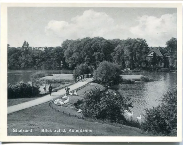 STRALSUND Kauffoto, Blick Küterdamm 30er