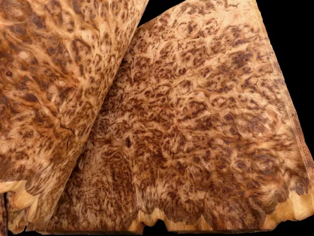 5x FURNIER TIGER EICHE MASER KNOLLE INTARSIE Küche Möbel HOLZ Edelholz Design 5x FURNIER TIGER EICHE MASER KNOLLE INTARSIE Küche Möbel HOLZ Edelholz Design