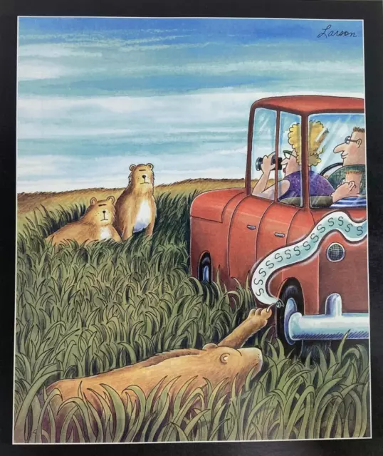 THE FAR SIDE Gallery Gary Larson From Calendar Frame Suitable Lions