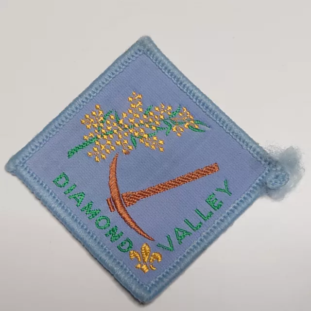Diamond Valley Victoria Australia District Scout Patch Scouting Badge EXT