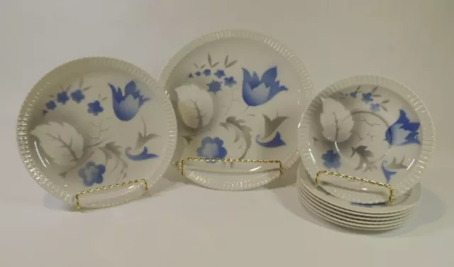 Syracuse China Set Lot VTG Restaurant Dish ware Plates Shelledge Vogue Airbrush
