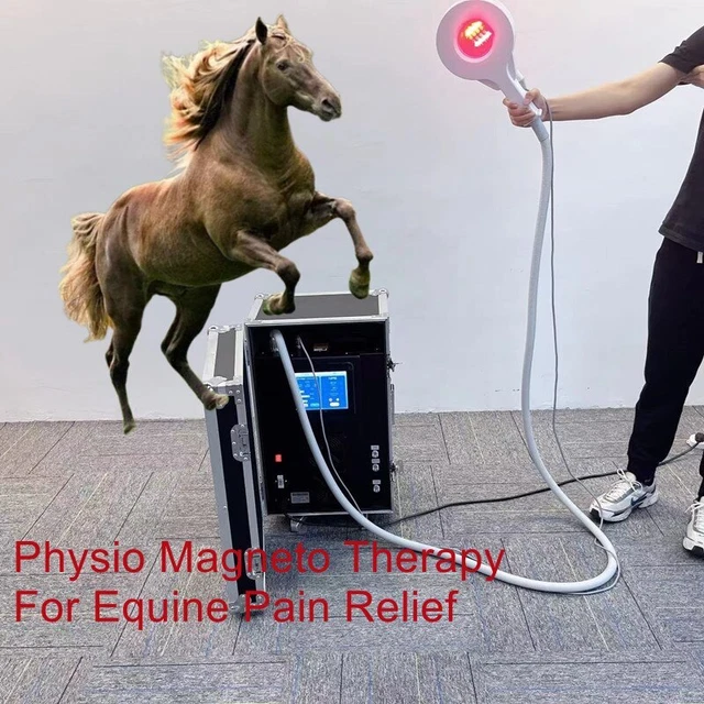 EQUINE PEMF LOOP Magnetic Therapy PMST Vet Device Horse Physiotherapy ...