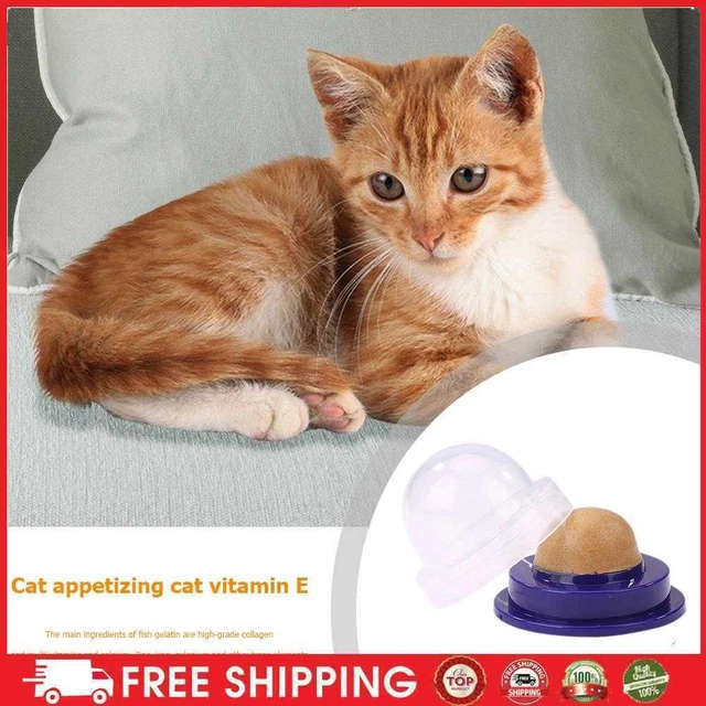 Vanpower snack per gatti erba gatto Kandis deliziare nutrizione gel Energy Ball (salmone