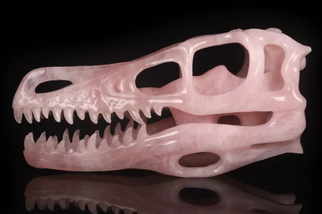 Talla de cráneo de dinosaurio tallado en cristal rosa natural de 10" 35S13