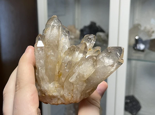 Top Stufe Rauchquarz-XX Bad Brambach Vogtland Mineralien