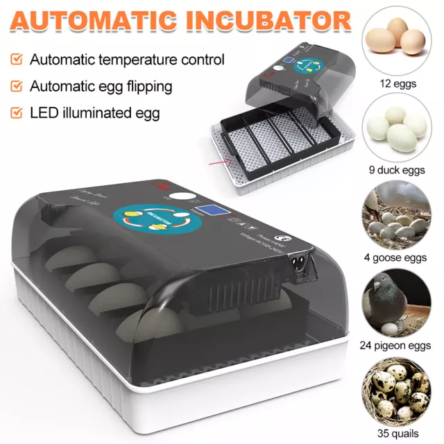 Egg Incubator Digital Fully Automatic 12 Eggs Poultry Hatcher for Chickens HOT