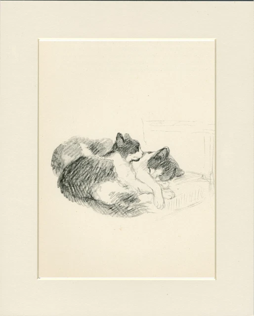 Two Sleeping Cats Lovely Original Old 1946 Cat Art Print By Lucy Dawson  Mounted