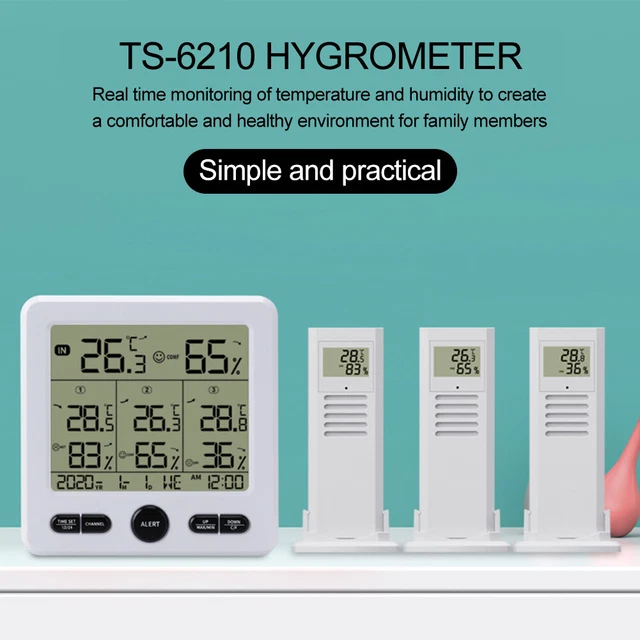 Image of TFA 30.5028 ebay website