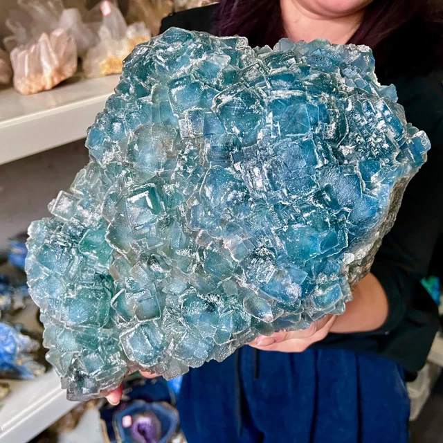 25.3LB  New Find sky blue Phantom Quartz Crystal Cluster Mineral Specimen