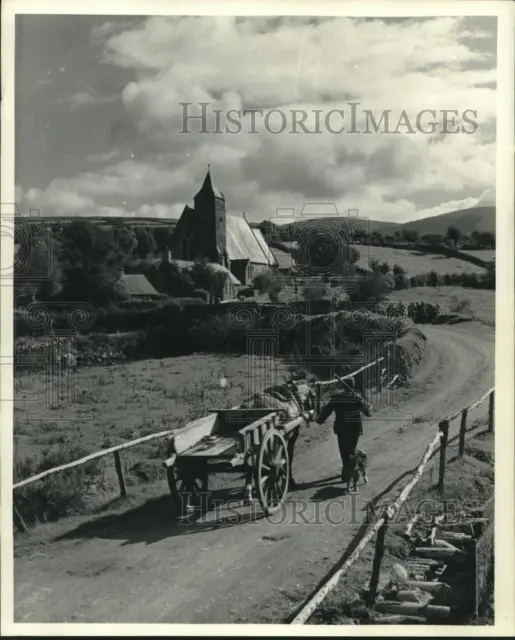 1948 Press Photo Man and dog walk while horse pulls cart in Waterford, England