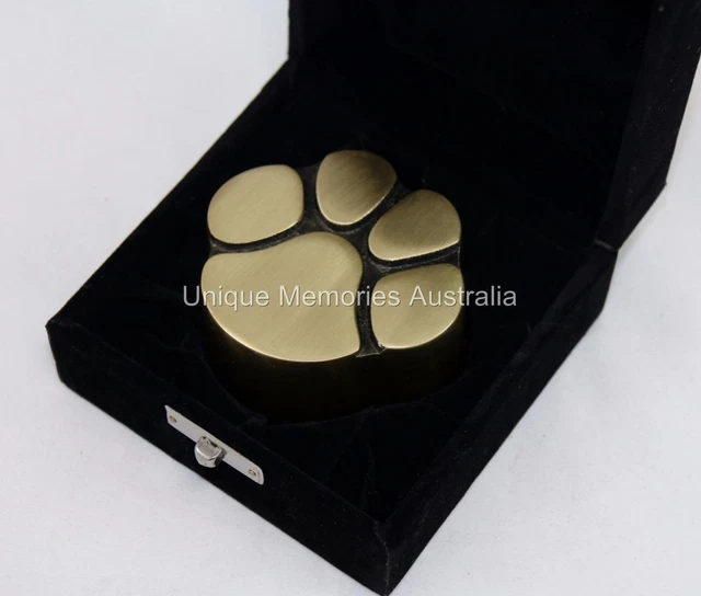 Solid Brass Bronze Cat & Dog Pet Paw Print Keepsake Cremation Funeral Urn + Case