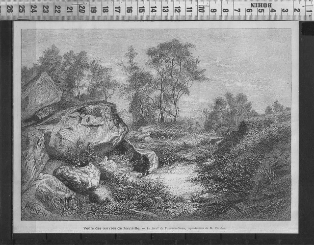 G386 / Gravure 1888 /  La Foret De Fontainebleau - De M. Piredon