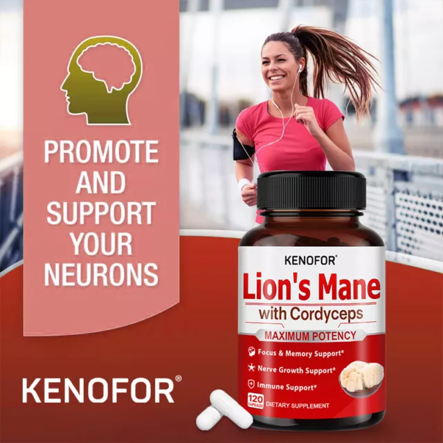 Lion's Mane Mushroom Capsules Organic Lion's Mane Supplement Nootropic Brain