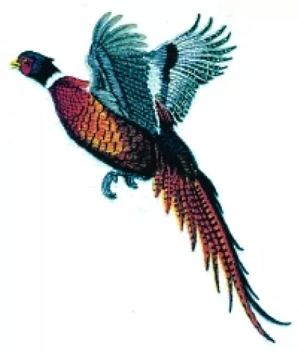Embroidered Fleece Jacket - Pheasant BT2856