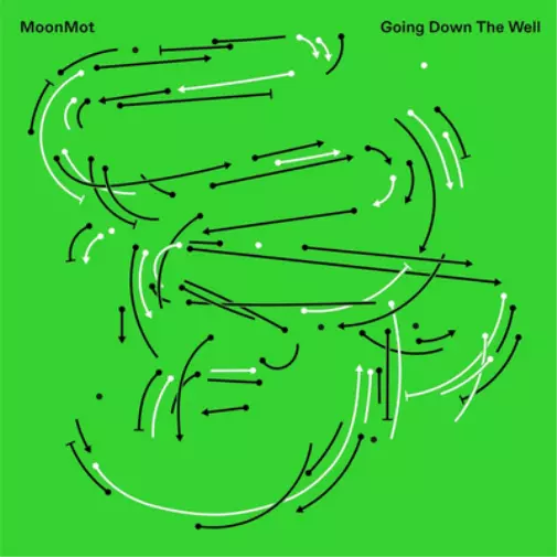 MoonMot Going Down the Well (Vinyl) 12" Album