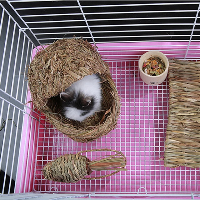 2x Papagei Liefert Vogel-Hamster-Bisskau-Gras-Karottenspielwaren, Die Spielzeug