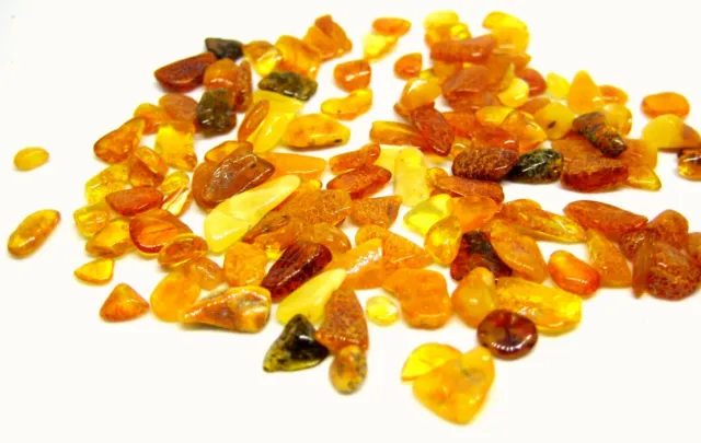 Polished Natural Baltic Amber Small Pieces 20 G