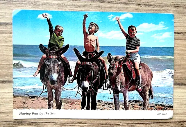 Having Fun By The Sea Postcard With 3 Of The Beatles Names On Donkeys Rare Retro