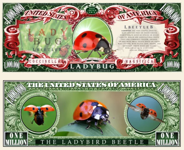 La COCCINELLE - BILLET MILLION DOLLAR US ! Collection Insecte Coléoptère Animal