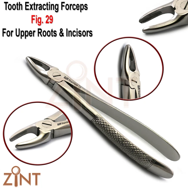 4-Piece Dental Tooth Extracting Forceps Set - O.R. Grade