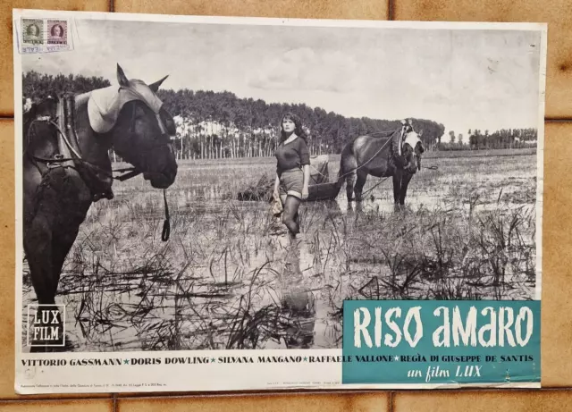 Riso Amaro Silvana Mangano Gassman Vallone Fotobusta Originale 1Ed 1948