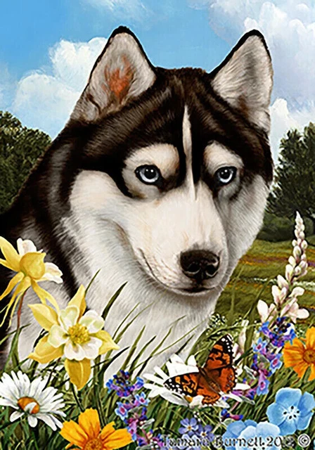 Summer Garden Flag - Blue-Eyed Black and White Siberian Husky 184371