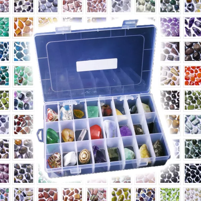 ★☆ Plus de 40 variétés de fossiles - COFFRETS à PERSONNALISER ☆★